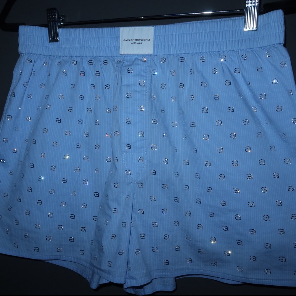 Alexander Wang Light Blue High Waist Shorts